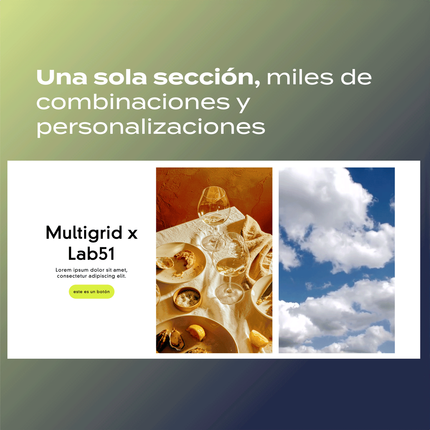 Sección multifuncional para tu theme