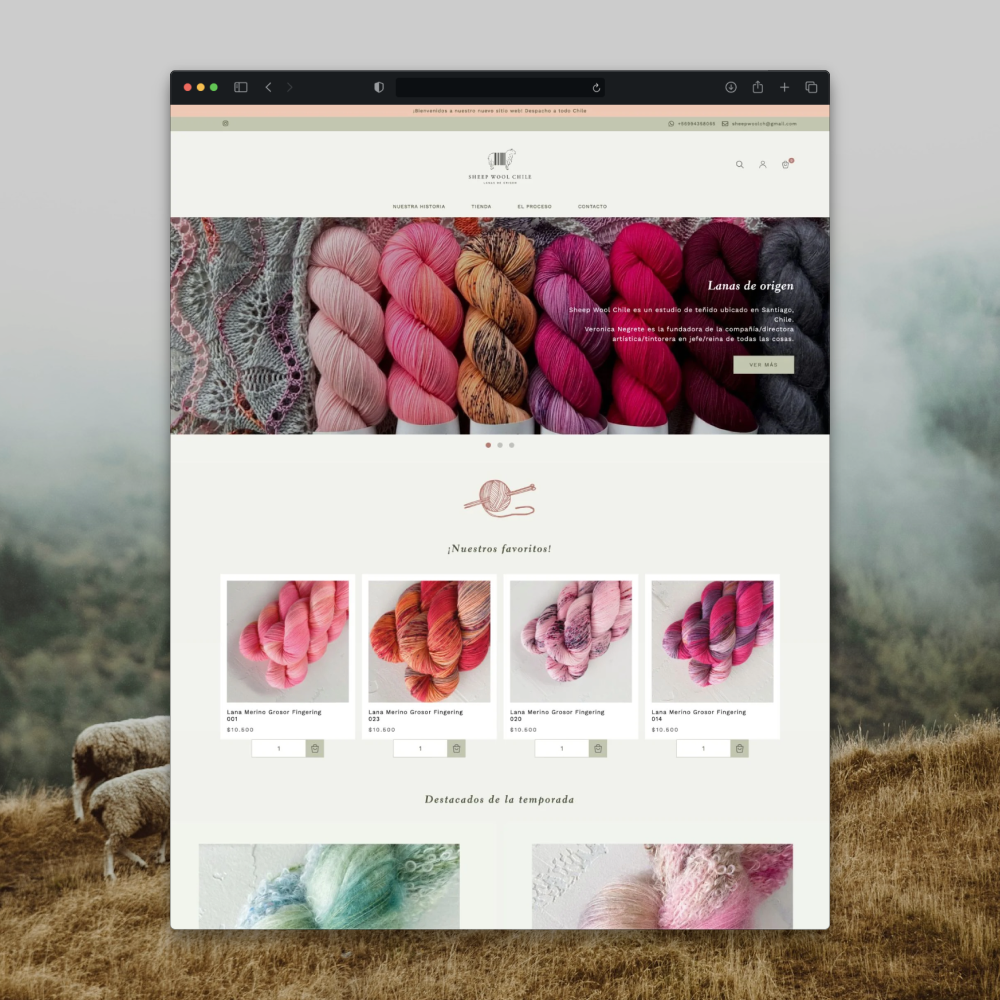Sheep Wool Chile