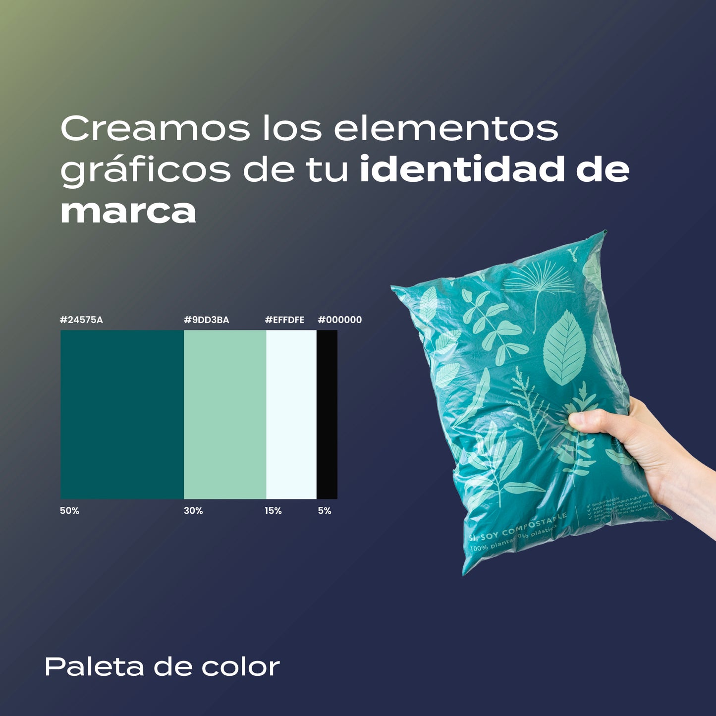 Kit de Diseño Gráfico