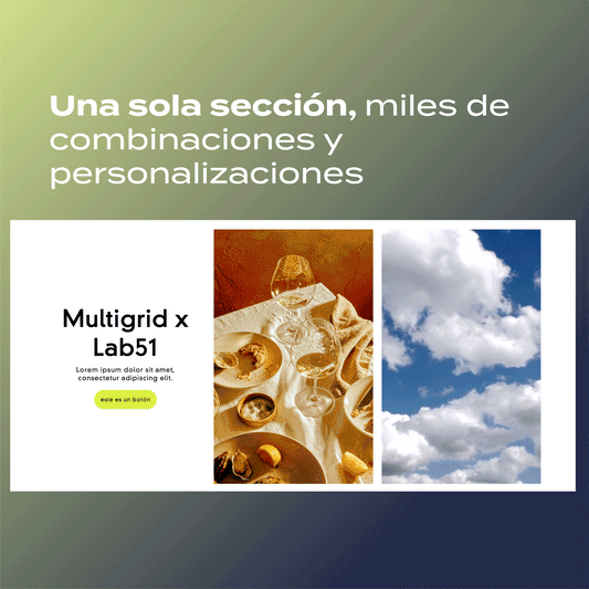Sección multifuncional para tu theme