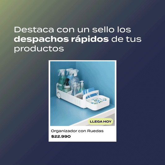 Módulo de Despacho Express