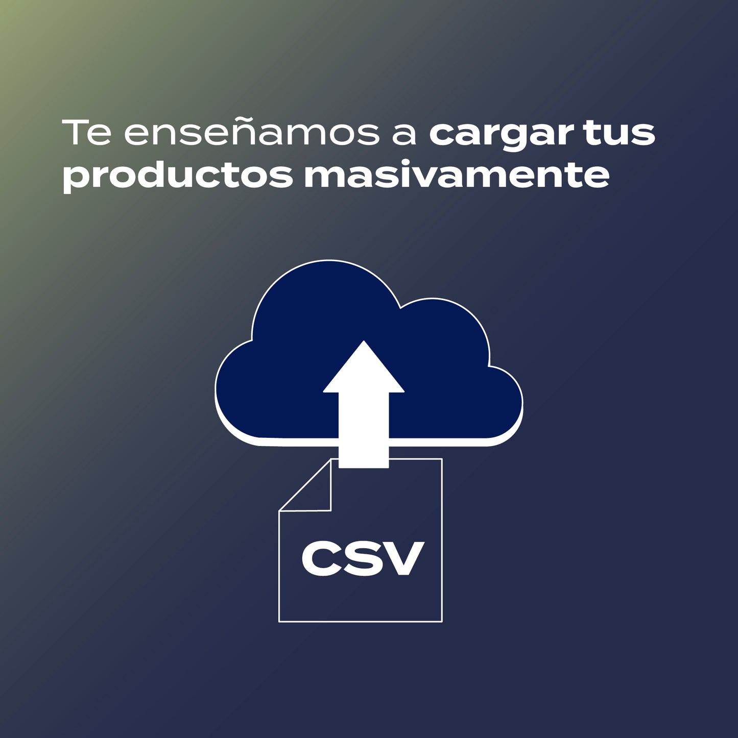 Capacitación carga masiva de productos