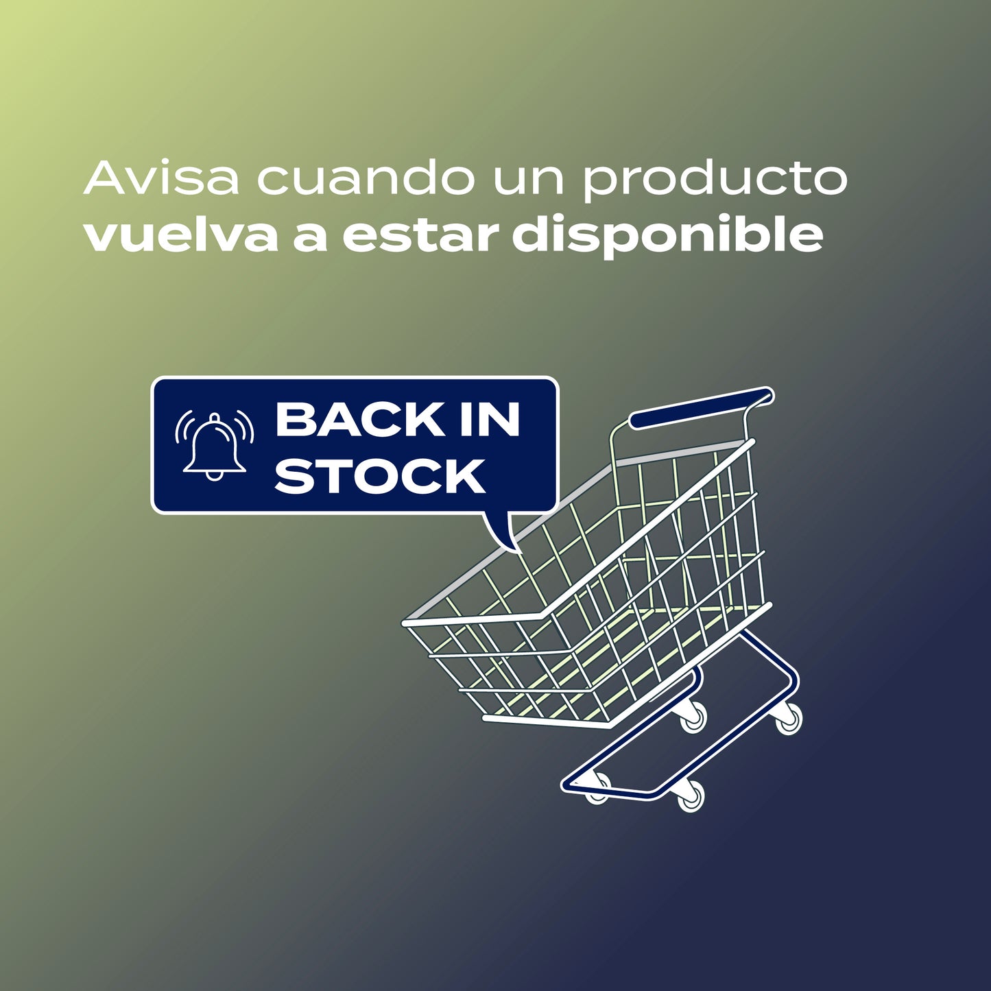 Configuración de Back in Stock (App de Shopify)